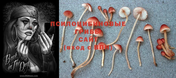 наркотики Наволоки