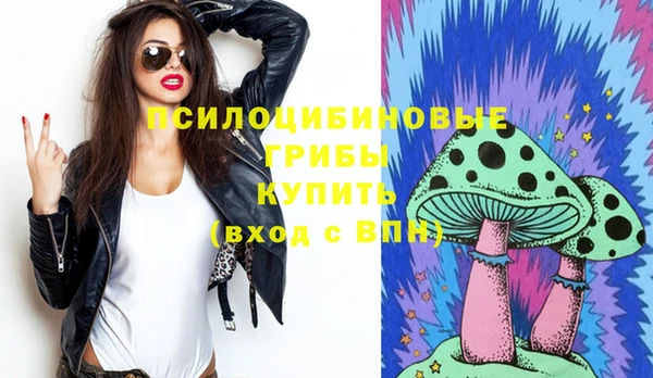 гидра Нея
