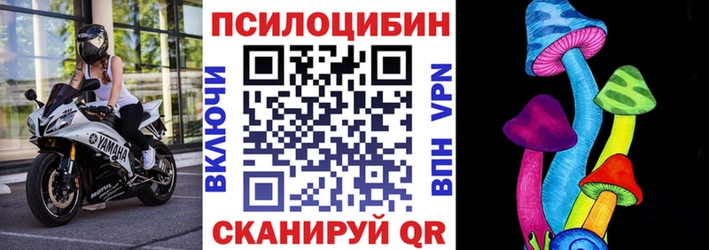 Псилоцибиновые грибы GOLDEN TEACHER Камбарка