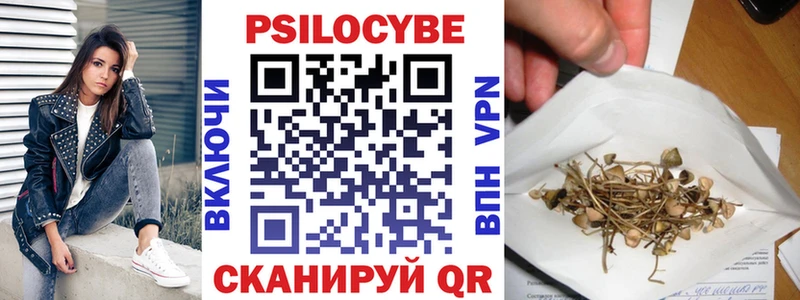 купить закладку  гидра зеркало  Псилоцибиновые грибы мицелий  Камбарка 