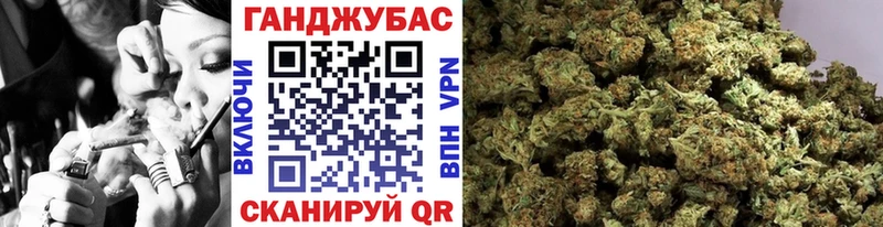 как найти закладки  Камбарка  mega онион  Конопля SATIVA & INDICA 